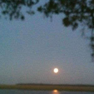 Meet your Posher, Annie